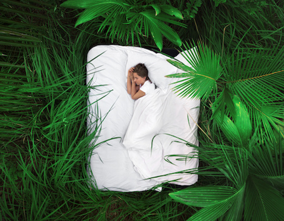 woman sleeping in white sheets amidst vibrant green palms